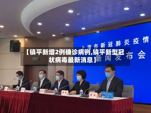 【镇平新增2例确诊病例,镇平新型冠状病毒最新消息】-第2张图片