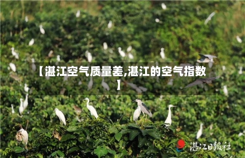 【湛江空气质量差,湛江的空气指数】-第2张图片