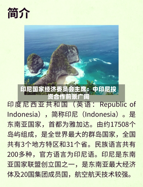 印尼国家经济委员会主席：中印尼投资合作前景广阔