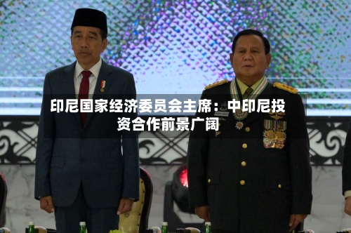 印尼国家经济委员会主席:中印尼投资合作前景广阔-第2张图片