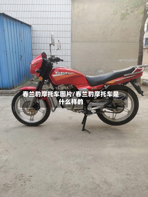 春兰豹摩托车图片/春兰豹摩托车是什么样的