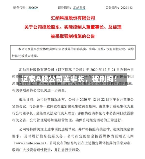 这家A股公司董事长，被刑拘！-第2张图片