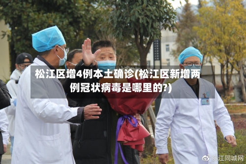 松江区增4例本土确诊(松江区新增两例冠状病毒是哪里的?)-第2张图片