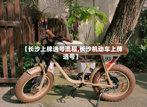 【长沙上牌选号流程,长沙机动车上牌选号】