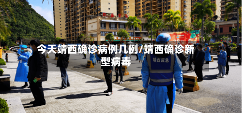 今天靖西确诊病例几例/靖西确诊新型病毒-第2张图片
