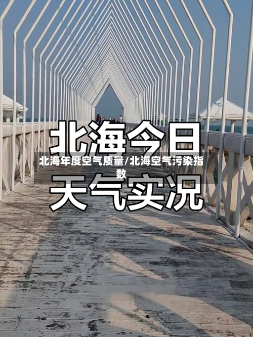 北海年度空气质量/北海空气污染指数