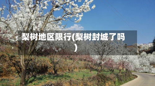 梨树地区限行(梨树封城了吗)