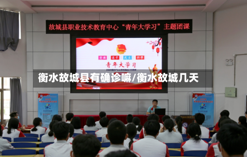 衡水故城县有确诊嘛/衡水故城几天-第3张图片