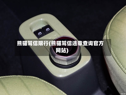 熊猫驾信限行(熊猫驾信违章查询官方网站)