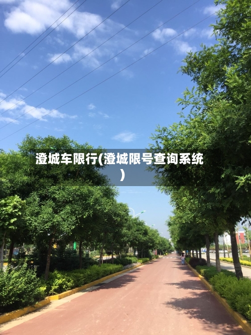 澄城车限行(澄城限号查询系统)-第2张图片
