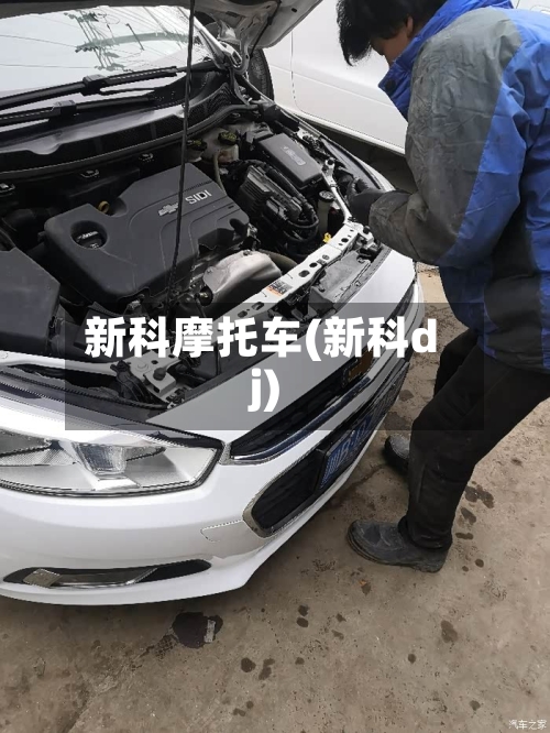 新科摩托车(新科dj)-第2张图片