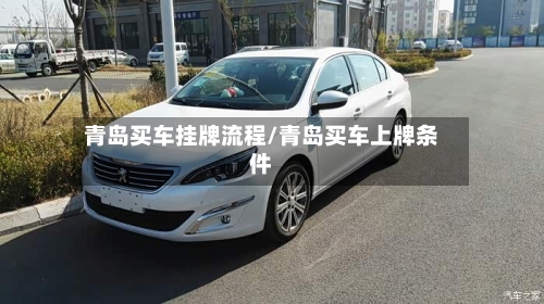 青岛买车挂牌流程/青岛买车上牌条件-第3张图片