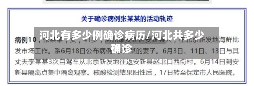 河北有多少例确诊病历/河北共多少确诊