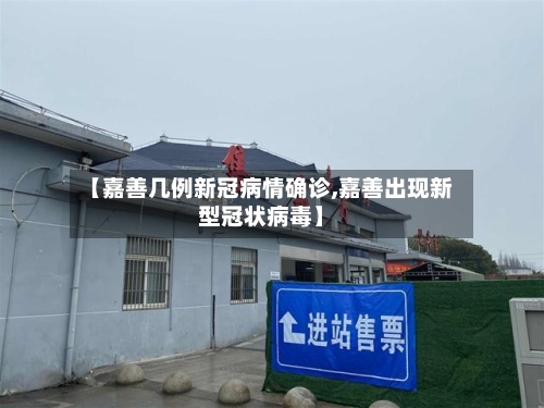 【嘉善几例新冠病情确诊,嘉善出现新型冠状病毒】-第3张图片