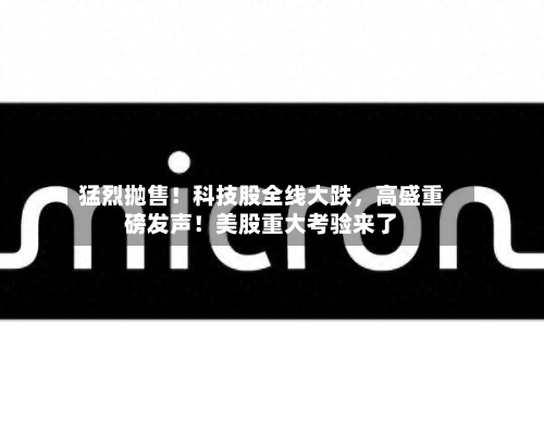 猛烈抛售！科技股全线大跌	，高盛重磅发声！美股重大考验来了-第2张图片