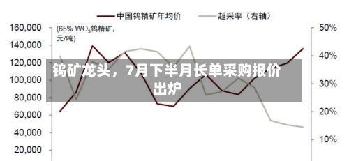 钨矿龙头	，7月下半月长单采购报价出炉-第2张图片