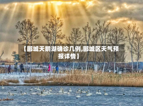【郾城天鹅湖确诊几例,郾城区天气预报详情】-第3张图片