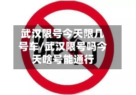 武汉限号今天限几号车/武汉限号吗今天啥号能通行-第2张图片