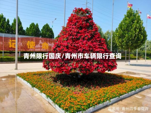 青州限行国庆/青州市车辆限行查询