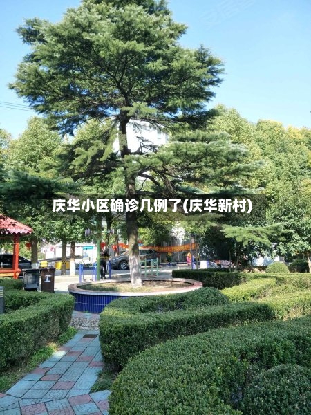 庆华小区确诊几例了(庆华新村)-第3张图片