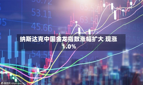 纳斯达克中国金龙指数涨幅扩大 现涨1.0%-第2张图片