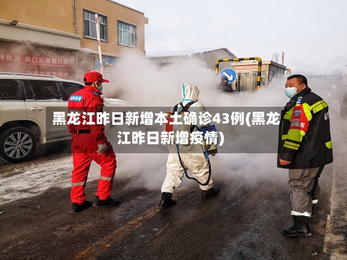 黑龙江昨日新增本土确诊43例(黑龙江昨日新增疫情)-第3张图片