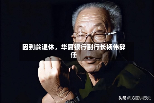 因到龄退休，华夏银行副行长杨伟辞任-第2张图片