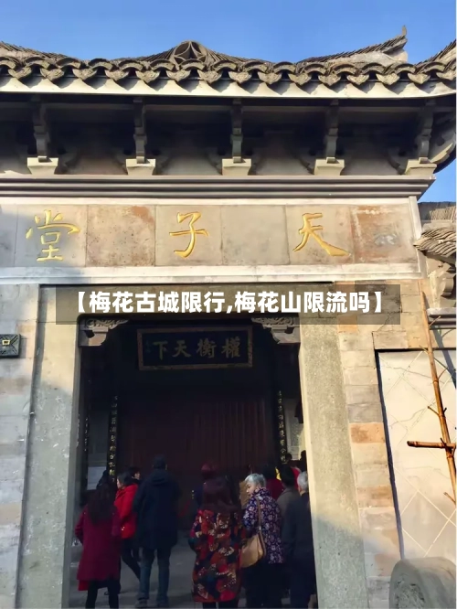 【梅花古城限行,梅花山限流吗】-第3张图片