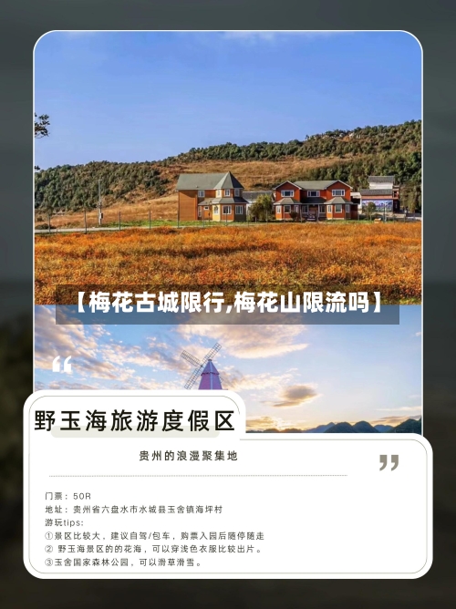 【梅花古城限行,梅花山限流吗】-第2张图片