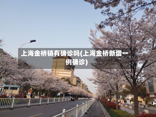 上海金桥镇有确诊吗(上海金桥新增一例确诊)-第2张图片