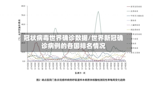 冠状病毒世界确诊数据/世界新冠确诊病例的各国排名情况