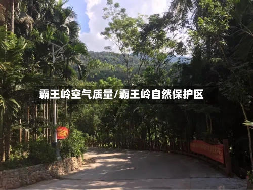 霸王岭空气质量/霸王岭自然保护区