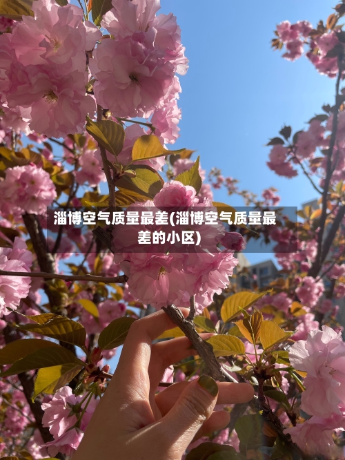 淄博空气质量最差(淄博空气质量最差的小区)