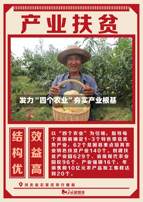 发力“四个农业”夯实产业根基-第2张图片