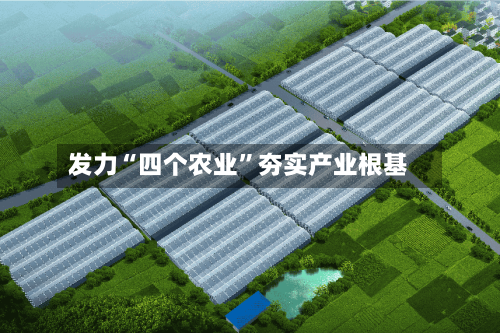 发力“四个农业	”夯实产业根基-第3张图片
