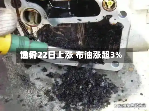 世界油价22日上涨 布油涨超3%