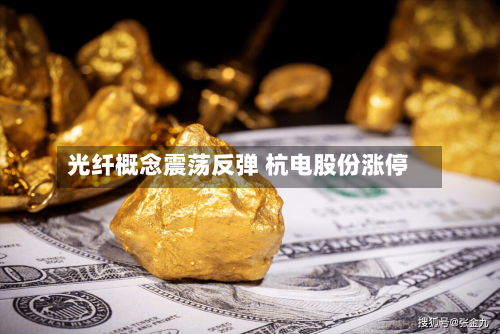 光纤概念震荡反弹 杭电股份涨停