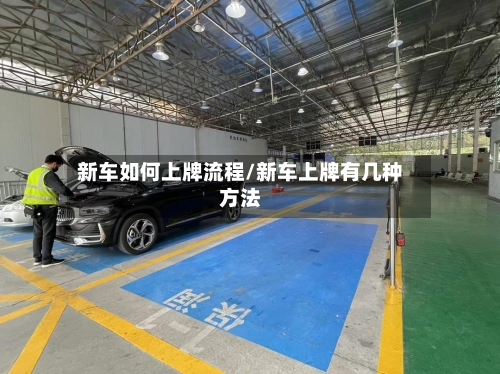 新车如何上牌流程/新车上牌有几种方法