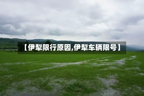 【伊犁限行原因,伊犁车辆限号】-第2张图片