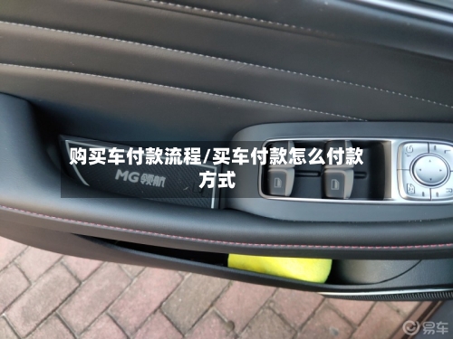 购买车付款流程/买车付款怎么付款方式-第3张图片