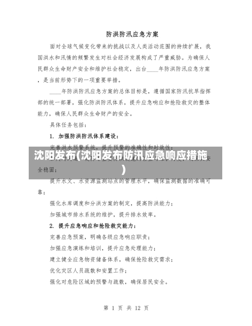 沈阳发布(沈阳发布防汛应急响应措施)