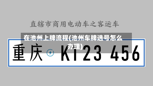 在池州上牌流程(池州车牌选号怎么办理)-第2张图片