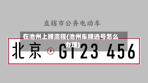 在池州上牌流程(池州车牌选号怎么办理)