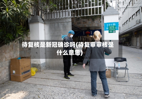 待复核是新冠确诊吗(待复审审核是什么意思)-第3张图片