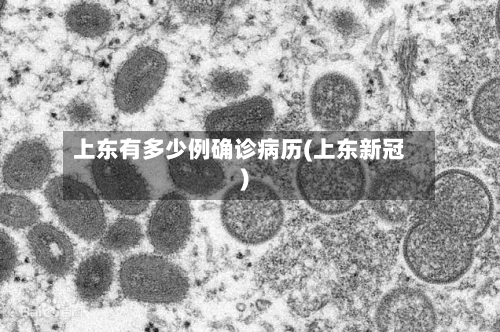 上东有多少例确诊病历(上东新冠)
