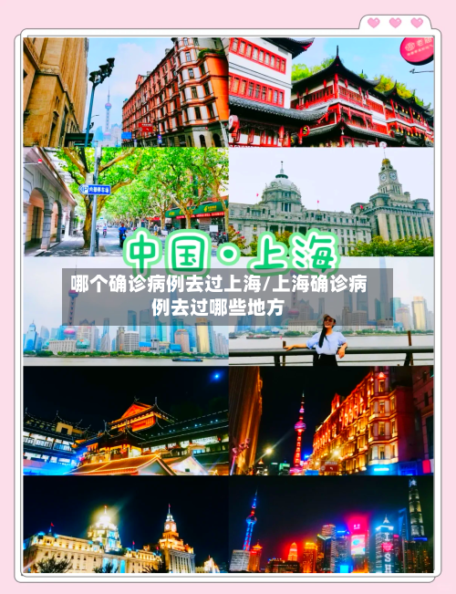 哪个确诊病例去过上海/上海确诊病例去过哪些地方