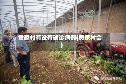 黄家村有没有确诊病例(黄家村会)-第3张图片