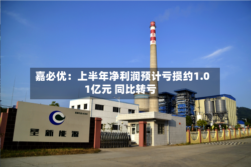 嘉必优：上半年净利润预计亏损约1.01亿元 同比转亏-第2张图片