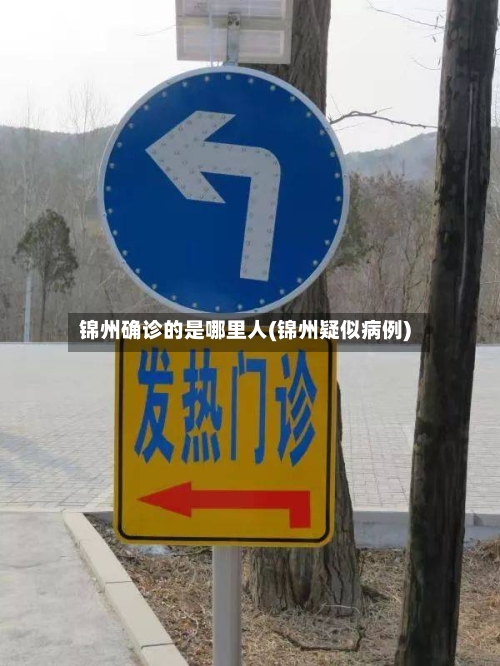 锦州确诊的是哪里人(锦州疑似病例)-第2张图片