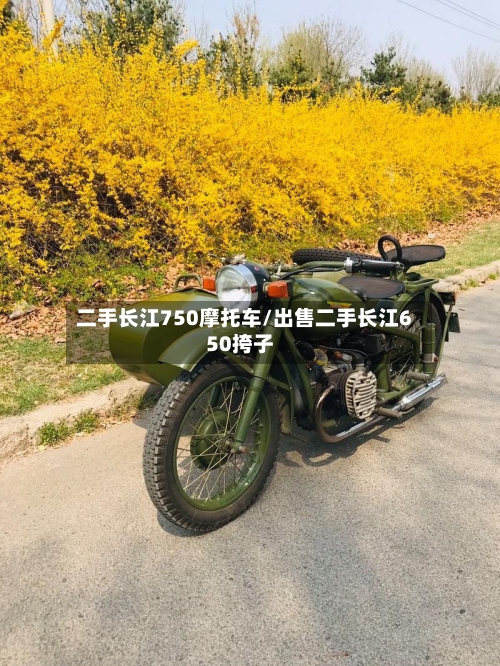 二手长江750摩托车/出售二手长江650挎子